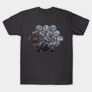 Jupiter in James Webb Telescope Design T-Shirt